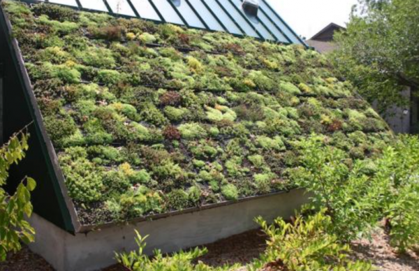 Taman Atap dengan Vegetasi Hijau